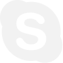 Skype icon